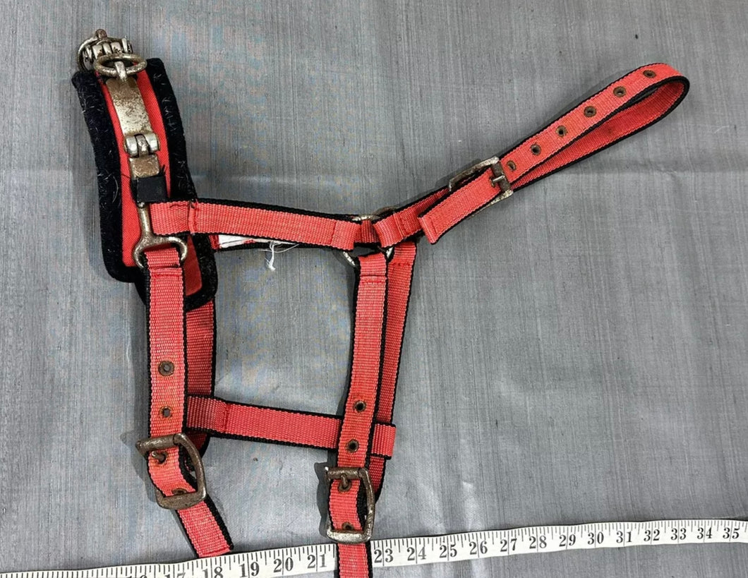 S/H Dublin Webbing Lunge Cavesson - Red - Cob Size